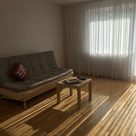 Welcoming Apartment Anykščiai Екстериор снимка